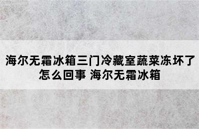 海尔无霜冰箱三门冷藏室蔬菜冻坏了怎么回事 海尔无霜冰箱